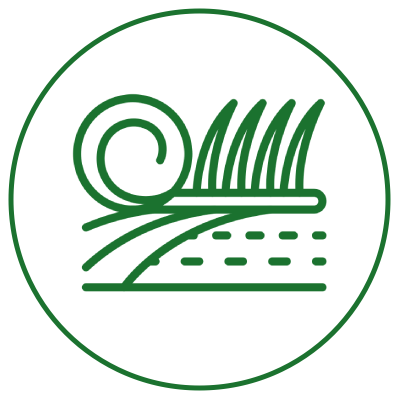 Švarus senos žolės suvyniojimas