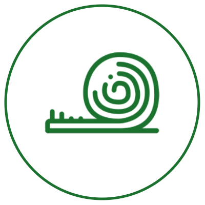 Pagrindo ir elastinio sluoksnio apsauga